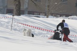 Lenk 2012 SM